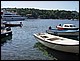 photo142_croatie_cavtat.jpg
