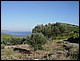 photo336_croatie_korcula.jpg