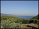 photo338_croatie_korcula.jpg