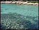 photo383_croatie_korcula.jpg
