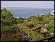 0_croatie_380.jpg