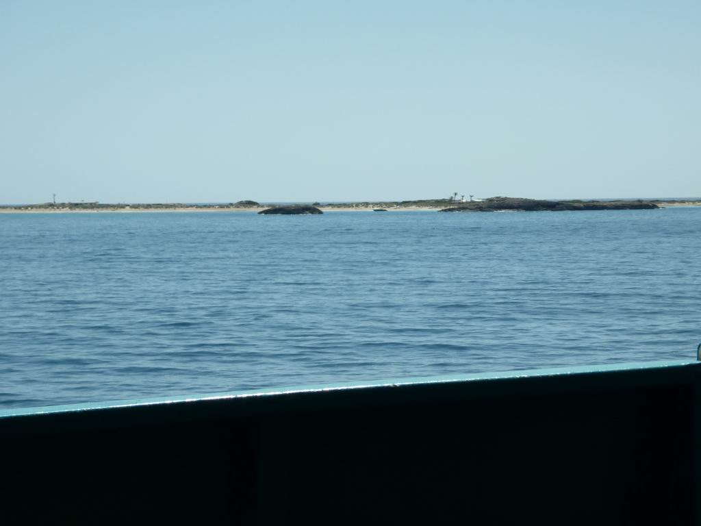 formentera040.jpg