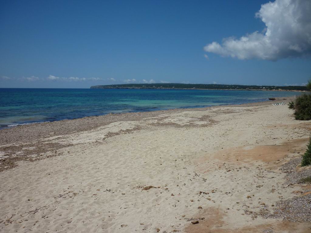 formentera108.jpg