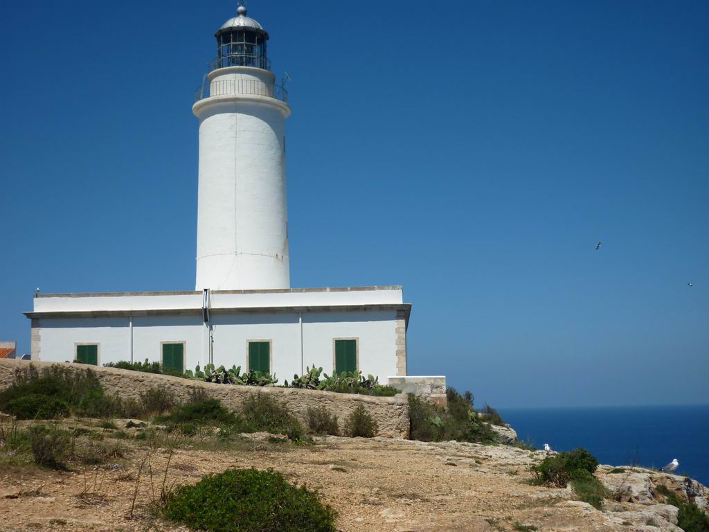 formentera127.jpg