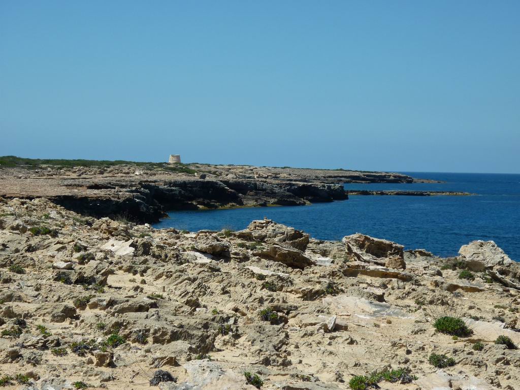 formentera151.jpg