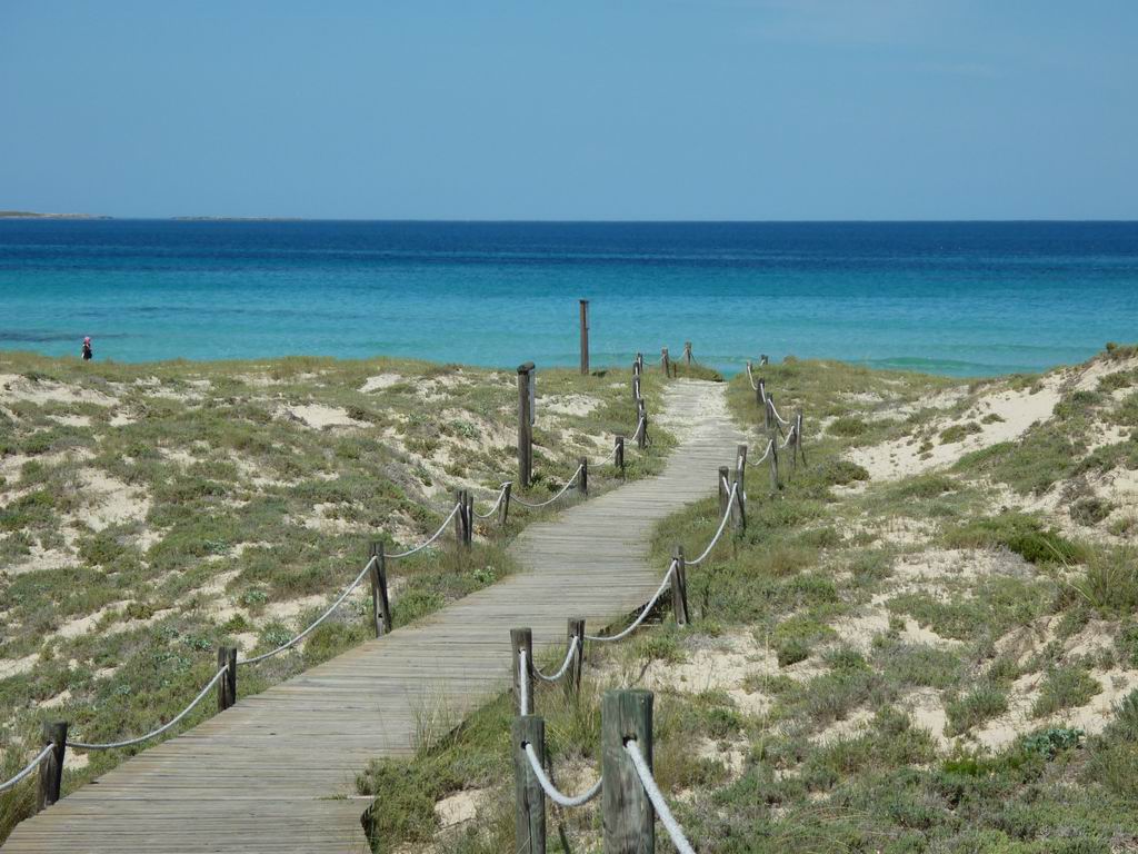 formentera164.jpg