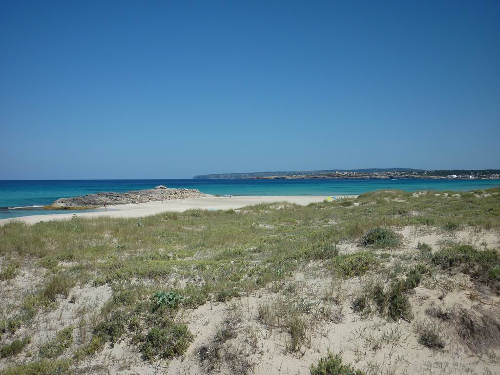 formentera167.jpg