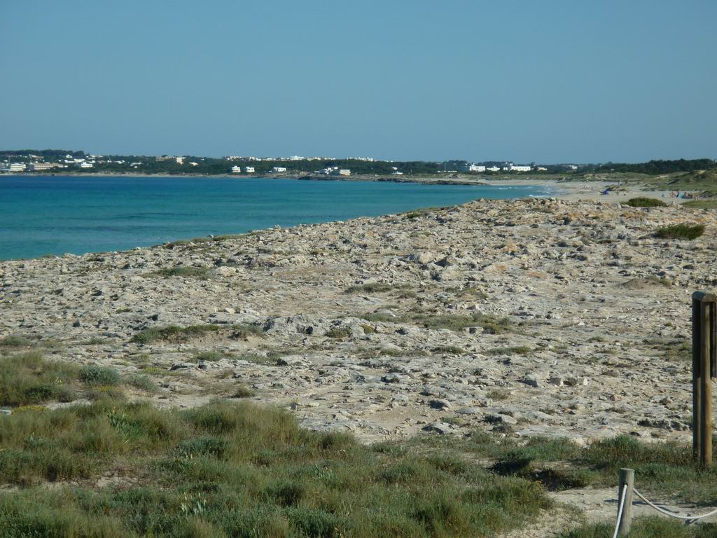 formentera178.jpg