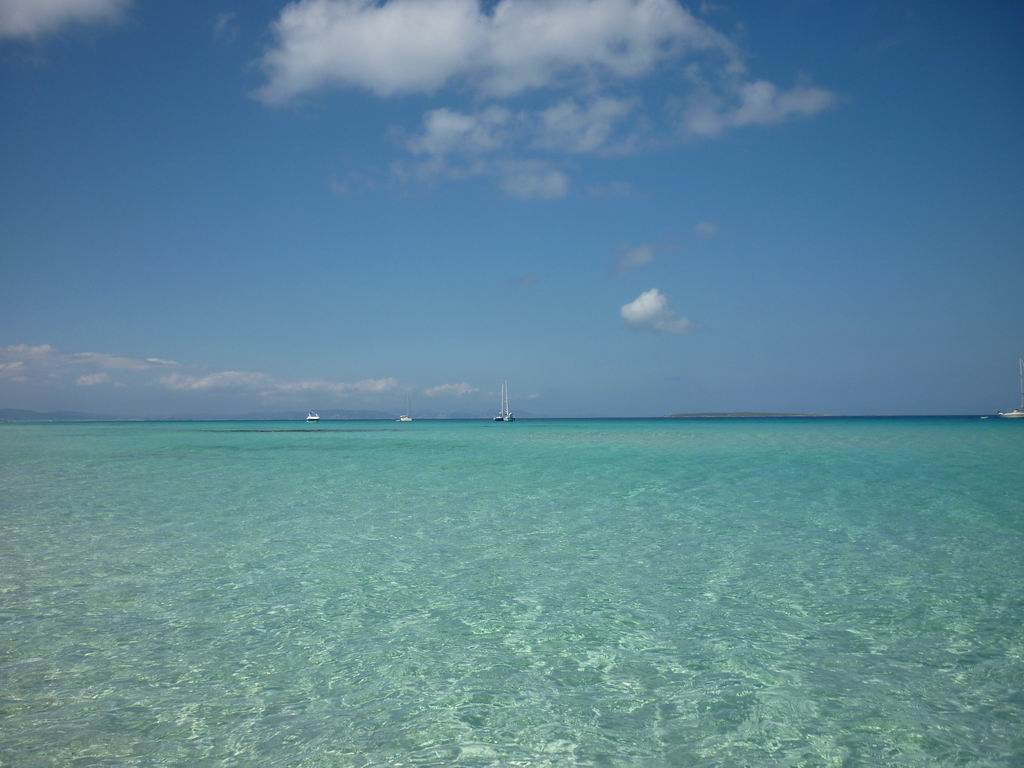 formentera221.jpg