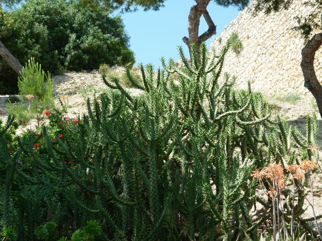 formentera283.jpg