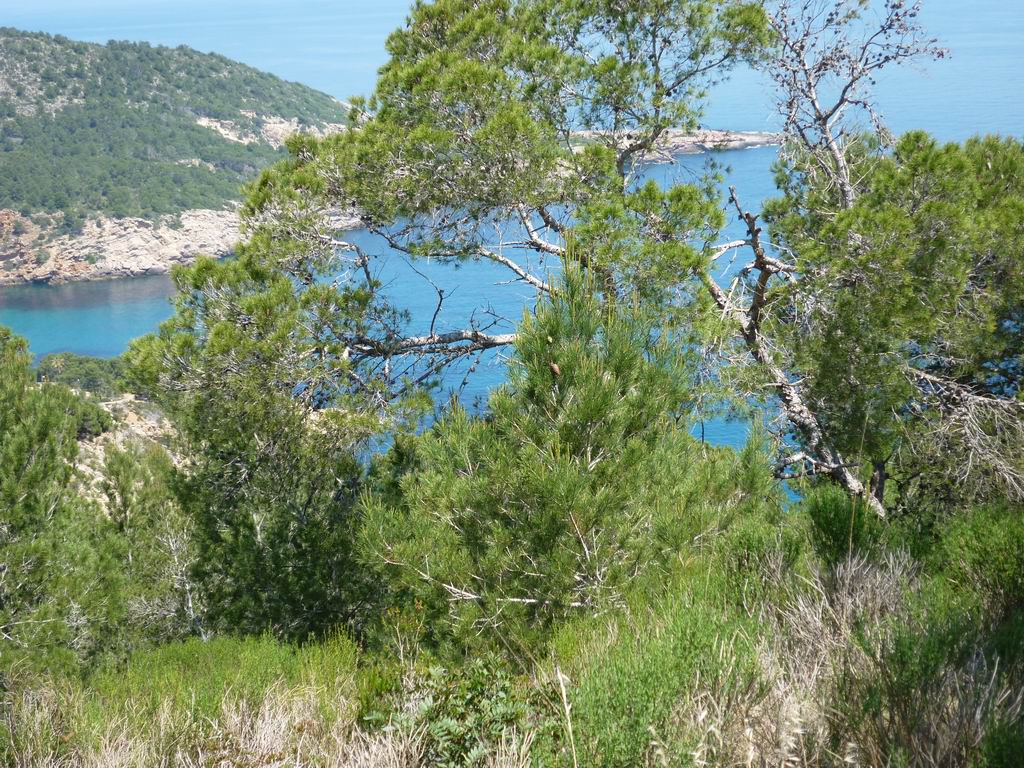 formentera353.jpg