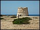 formentera159.jpg