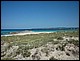 formentera167.jpg