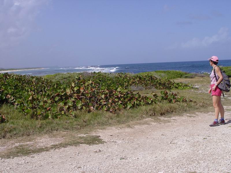 guadeloupe025.jpg