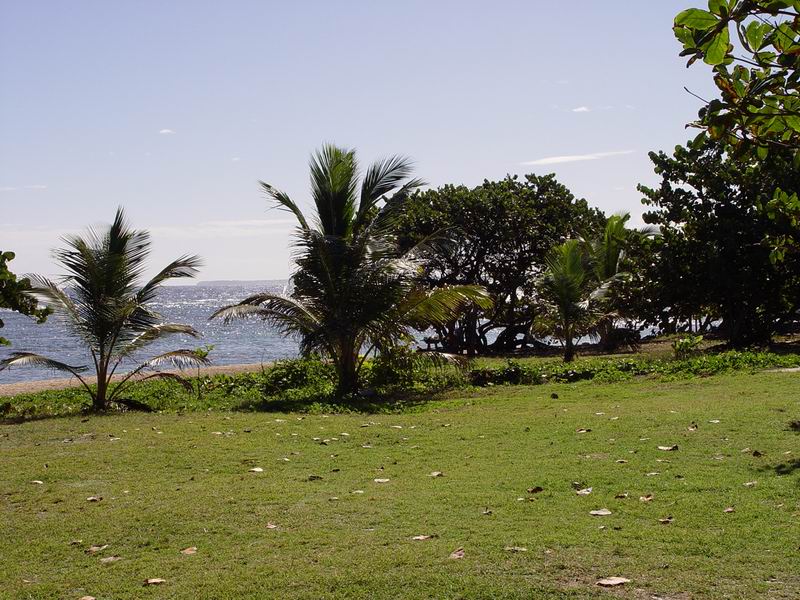 guadeloupe072.jpg