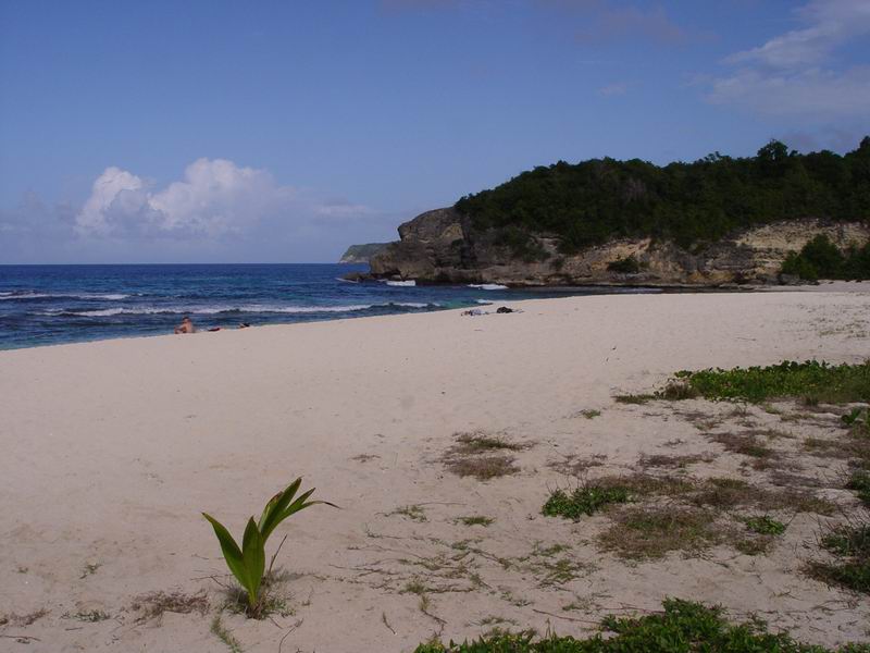 guadeloupe107.jpg