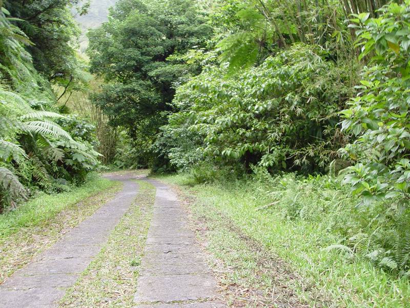 guadeloupe162.jpg