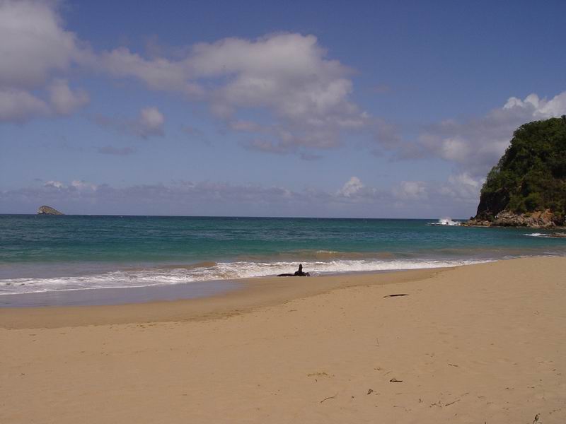 guadeloupe202.jpg