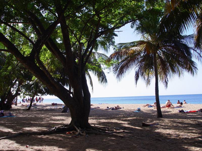 guadeloupe206.jpg