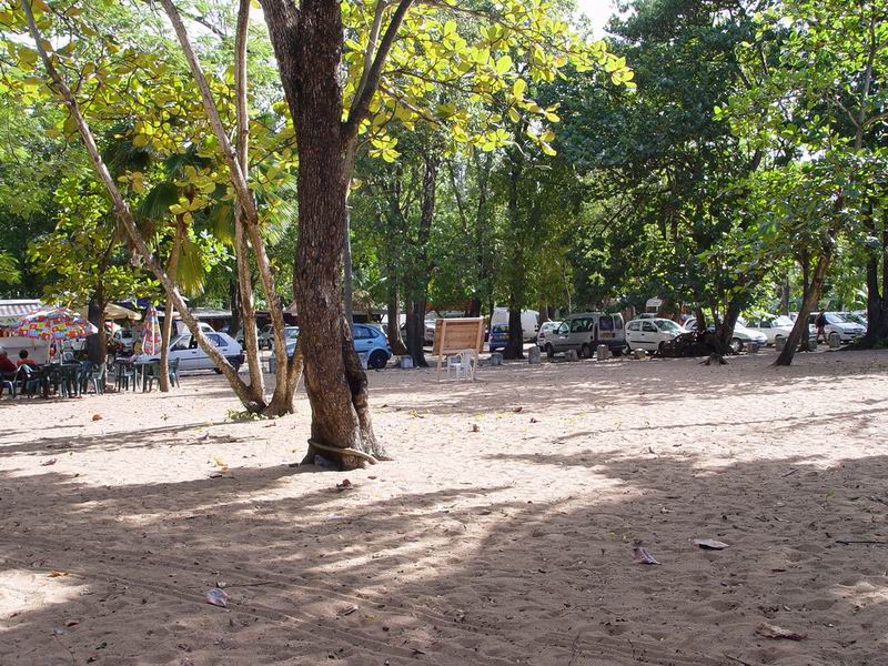 guadeloupe208.jpg