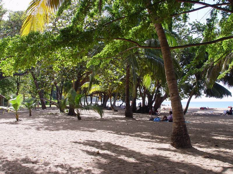 guadeloupe209.jpg