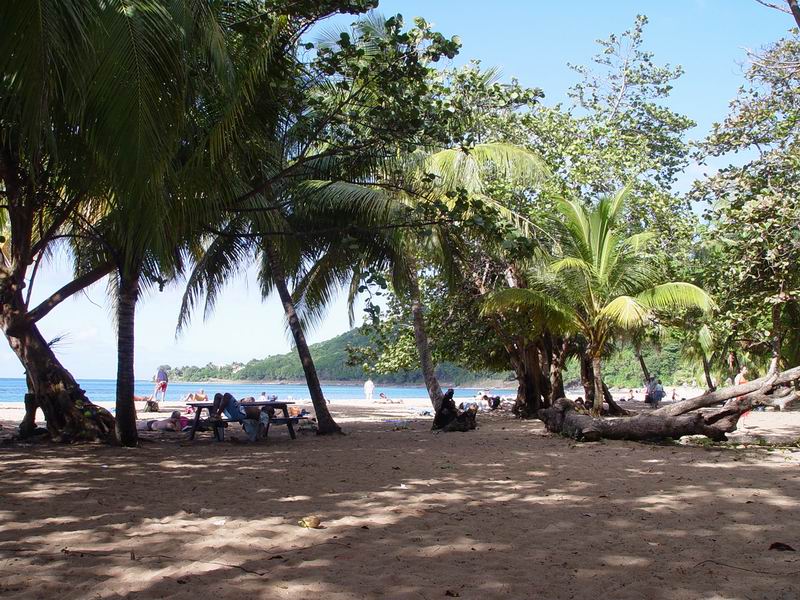 guadeloupe212.jpg