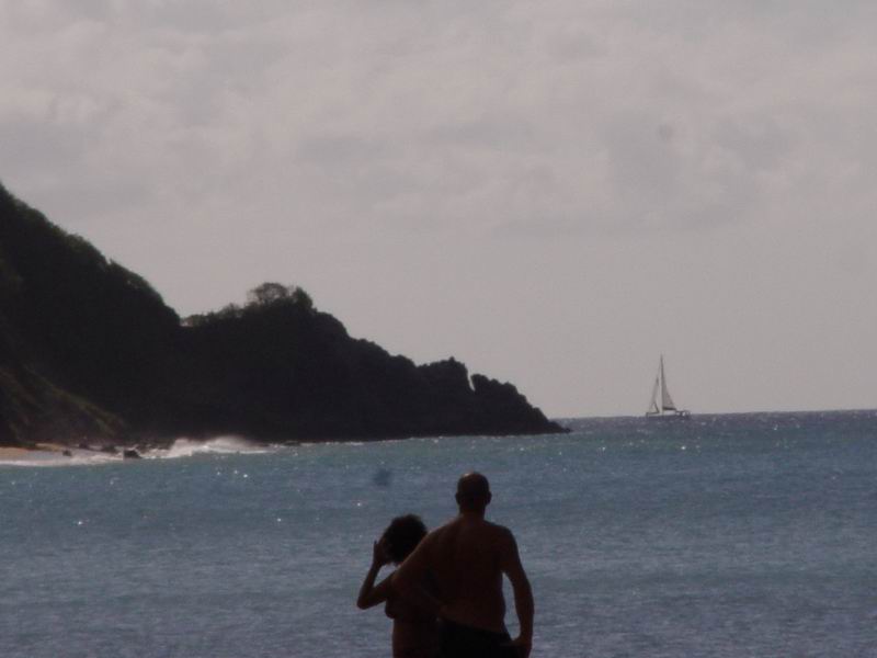 guadeloupe214.jpg