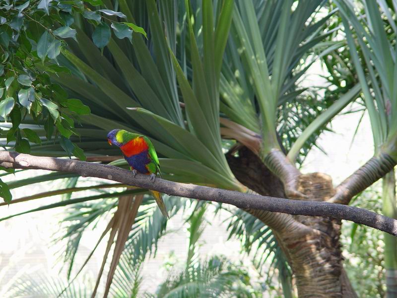 guadeloupe222.jpg