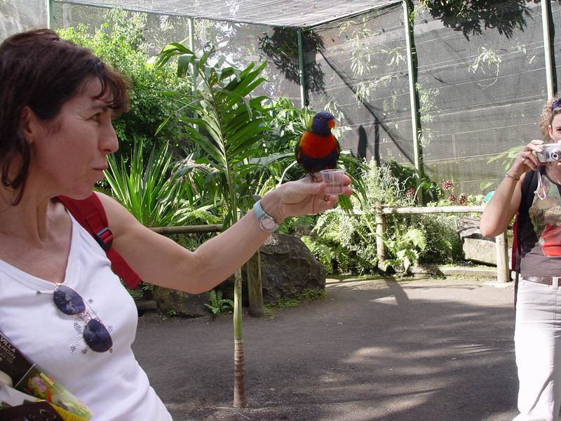 guadeloupe224.jpg