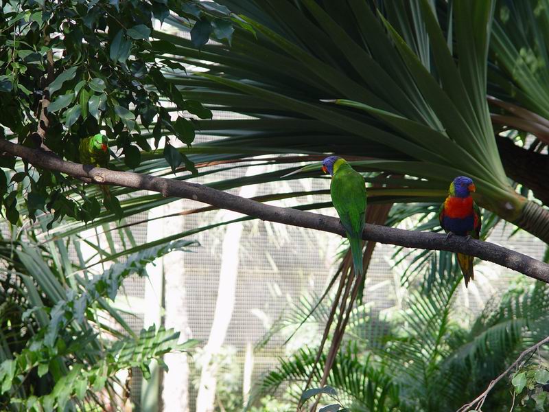 guadeloupe226.jpg