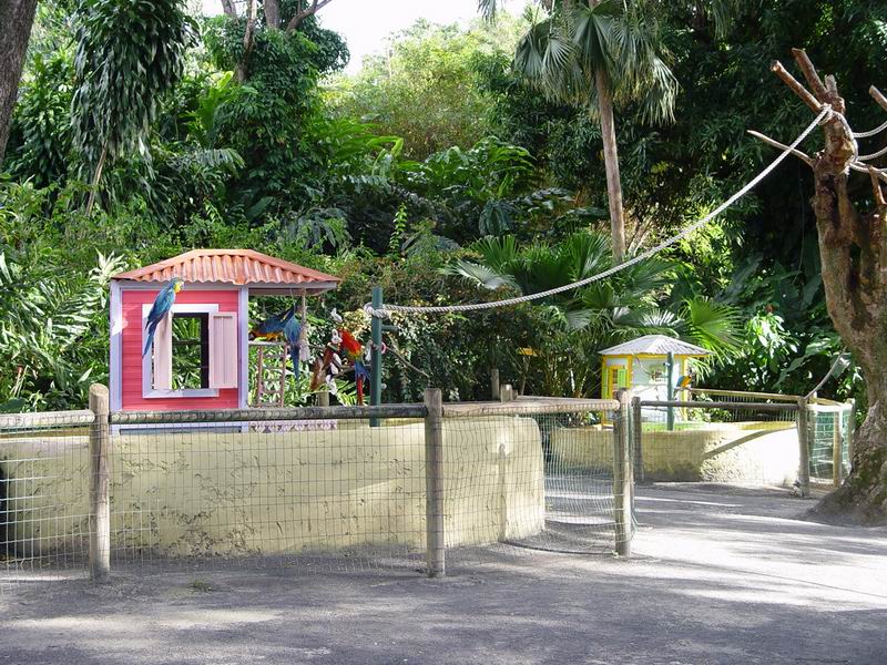 guadeloupe248.jpg