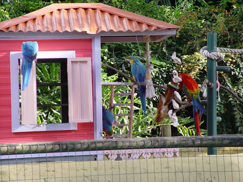 guadeloupe249.jpg