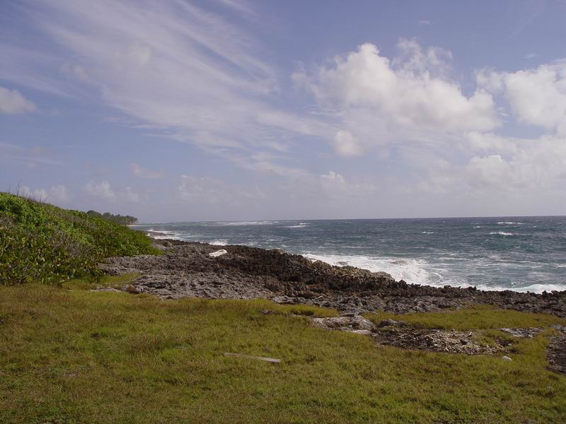guadeloupe288.jpg