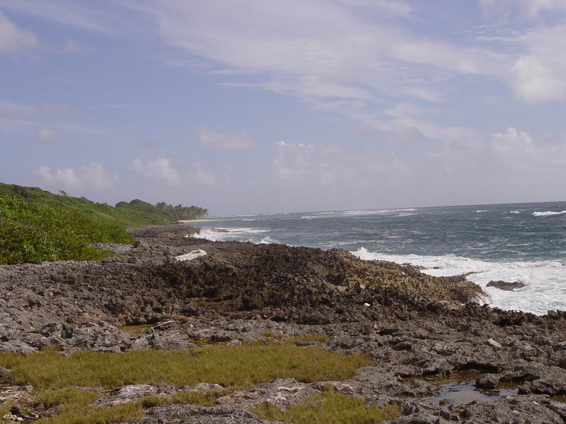 guadeloupe289.jpg