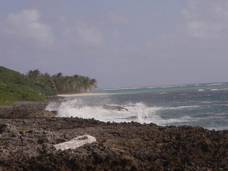 guadeloupe291.jpg