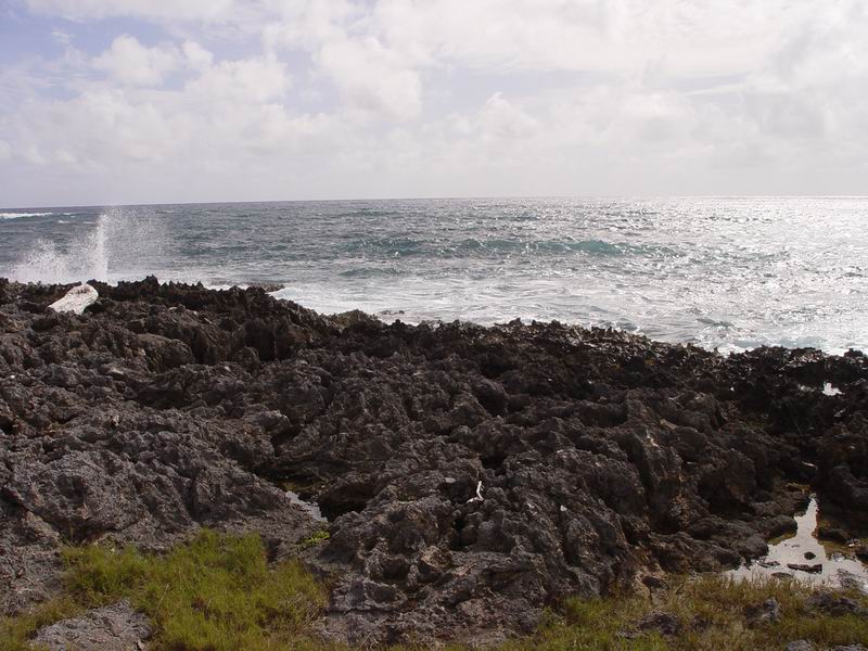 guadeloupe292.jpg