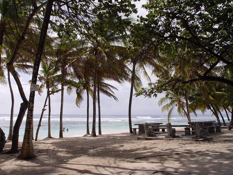 guadeloupe295.jpg