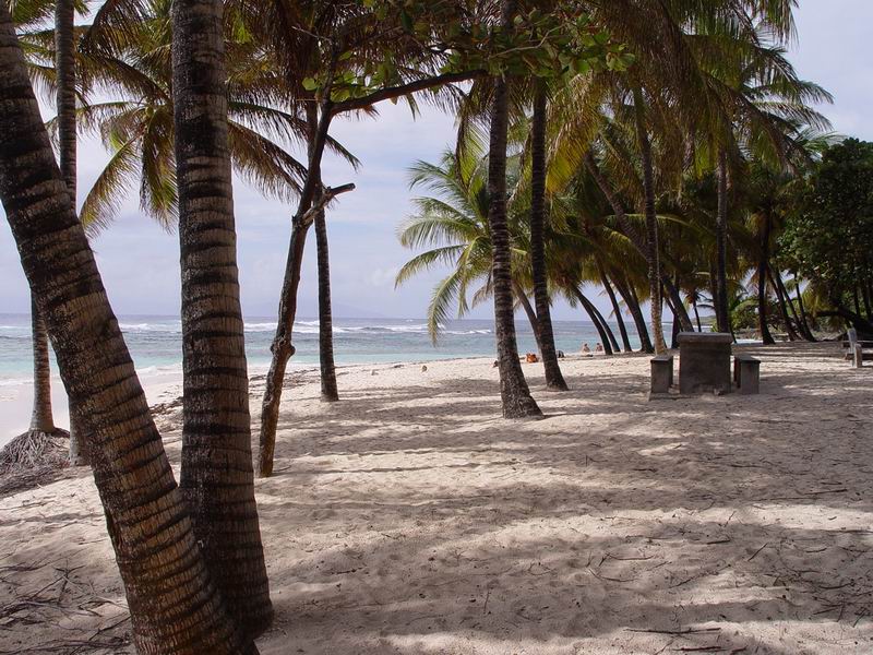 guadeloupe296.jpg