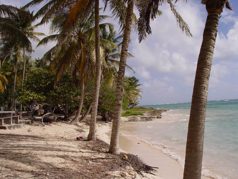 guadeloupe297.jpg