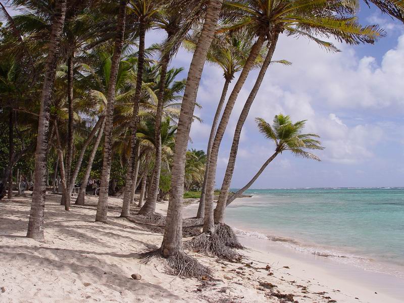 guadeloupe298.jpg