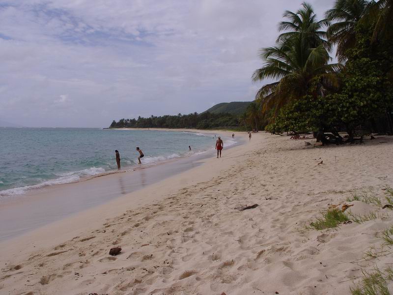 guadeloupe300.jpg
