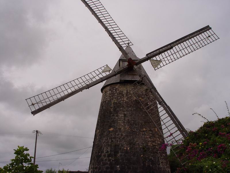 guadeloupe304.jpg