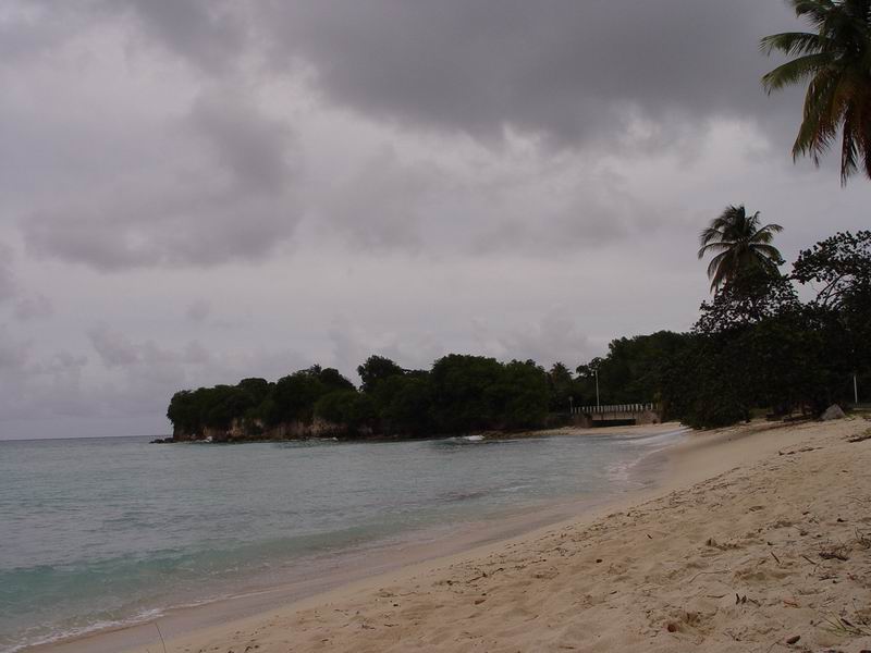 guadeloupe317.jpg