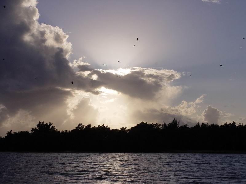 guadeloupe477.jpg