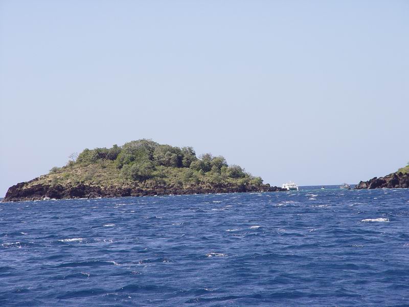 guadeloupe520.jpg