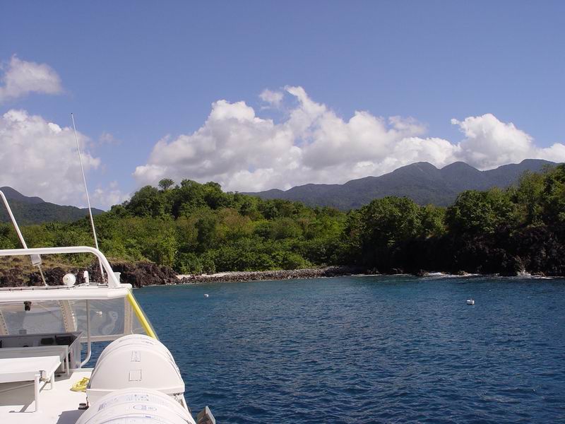 guadeloupe548.jpg