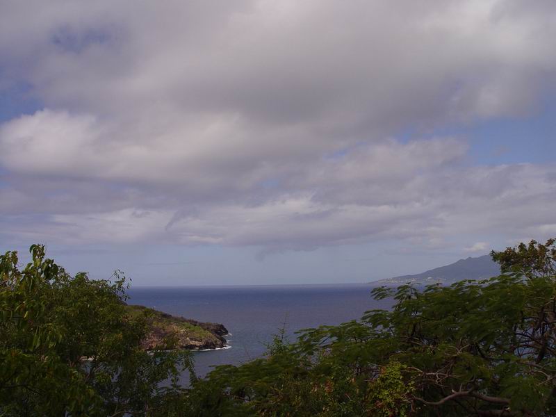 guadeloupe734.jpg