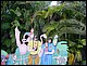 guadeloupe263.jpg