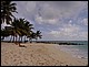 guadeloupe301.jpg