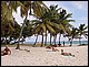 guadeloupe302.jpg